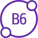 Ícone vitamina — Vitamina B6